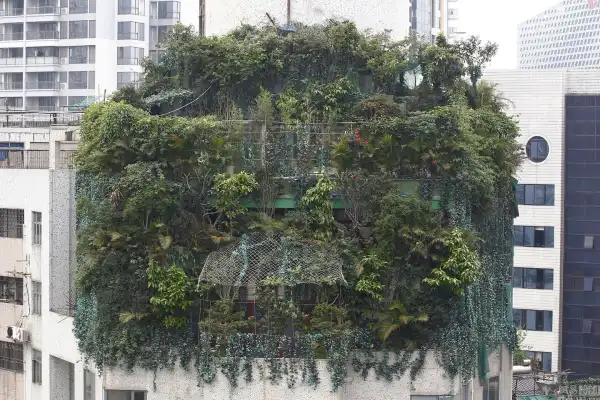 No Land To Farm...! Man Breaks World Record As He Farm On Top His House 
